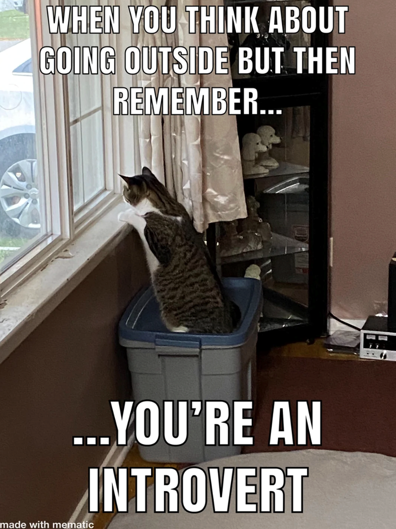 WHEN YOU THINK ABOUT GOING OUTSIDE BUT THEN REMEMBER... made with mematic .YOU'RE AN INTROVERT