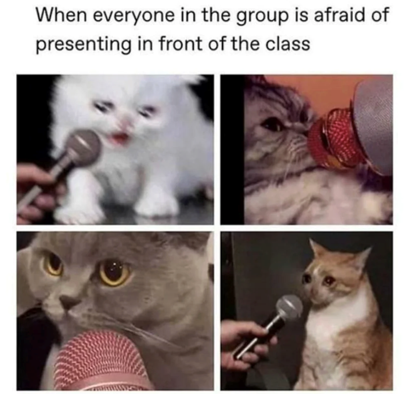 When everyone in the group is afraid of presenting in front of the class