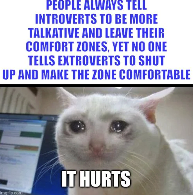 PEOPLE ALWAYS TELL INTROVERTS TO BE MORE TALKATIVE AND LEAVE THEIR COMFORT ZONES, YET NO ONE TELLS EXTROVERTS TO SHUT UP AND MAKE THE ZONE COMFORTABLE imgflip.com IT HURTS