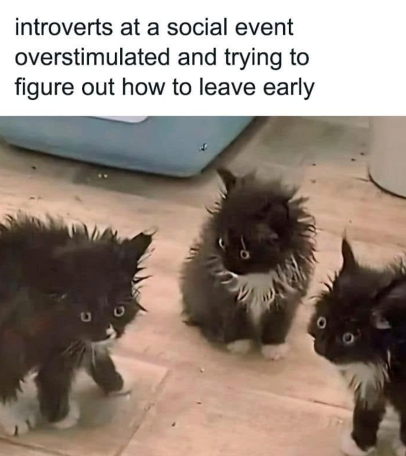 introverts at a social event overstimulated and trying to figure out how to leave early