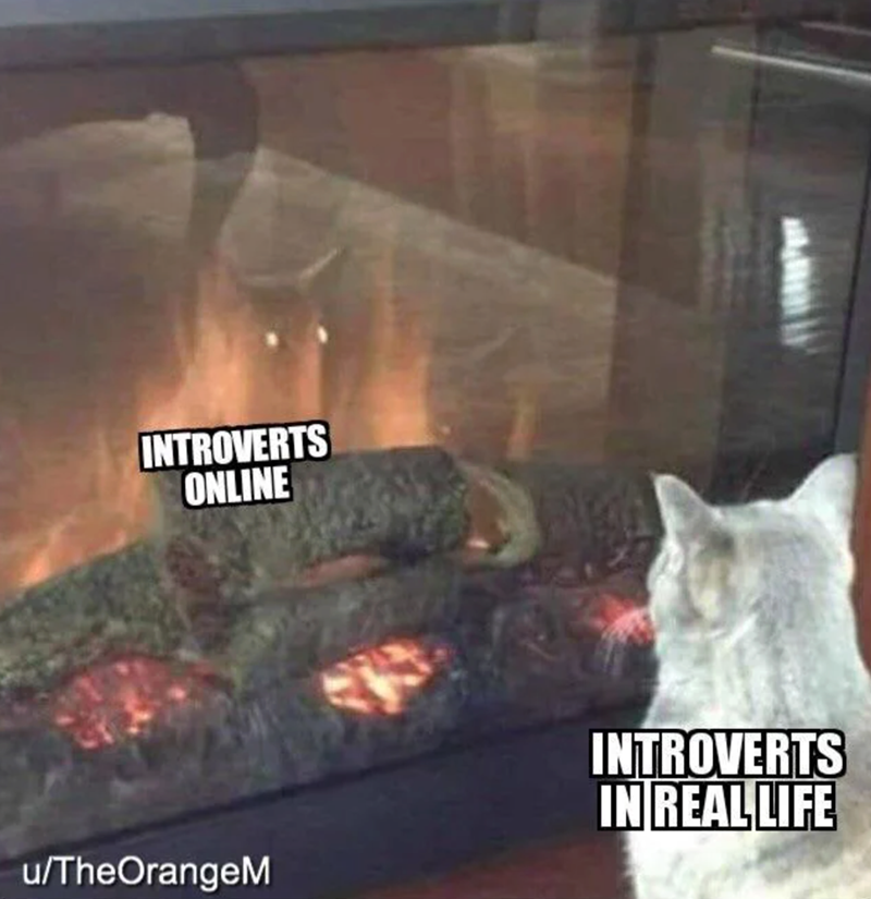 INTROVERTS ONLINE u/TheOrangeM INTROVERTS IN REAL LIFE