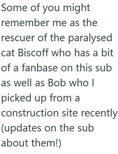 Some of you might remember me as the rescuer of the paralysed cat Biscoff who has a bit of a fanbase on this sub as well as Bob who I picked up from a construction site recently. (updates on the sub about them!)