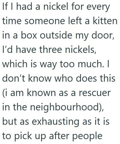 If I had a nickel for every time someone left a kitten in a box outside my door, I'd have three nickels, which is way too much. I don't know who does this (i am known as a rescuer in the neighbourhood), but as exhausting as it is to pick up after people