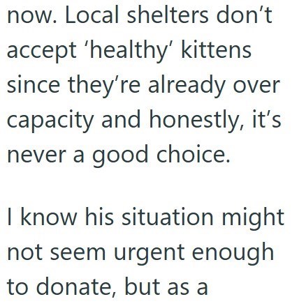 now. Local shelters don't accept 'healthy' kittens since they're already over capacity and honestly, it's never a good choice. I know his situation might not seem urgent enough to donate, but as a