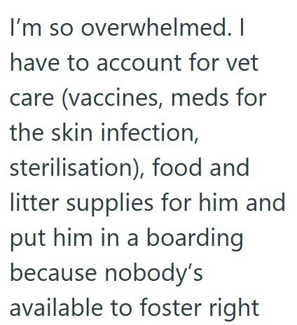 I'm so overwhelmed. I have to account for vet care (vaccines, meds for the skin infection, sterilisation), food and litter supplies for him and put him in a boarding because nobody's available to foster right