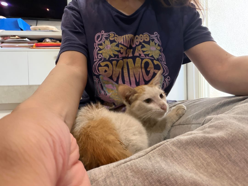 PANO