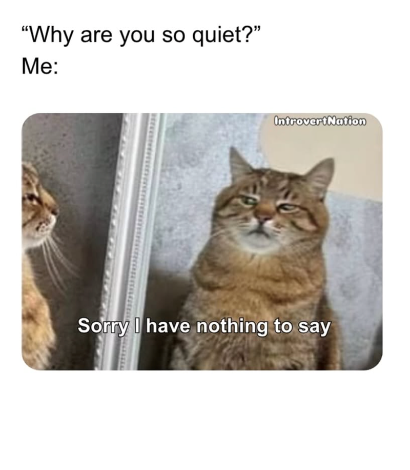 "Why are you so quiet?" Me: IntrovertNation Sorry I have nothing to say