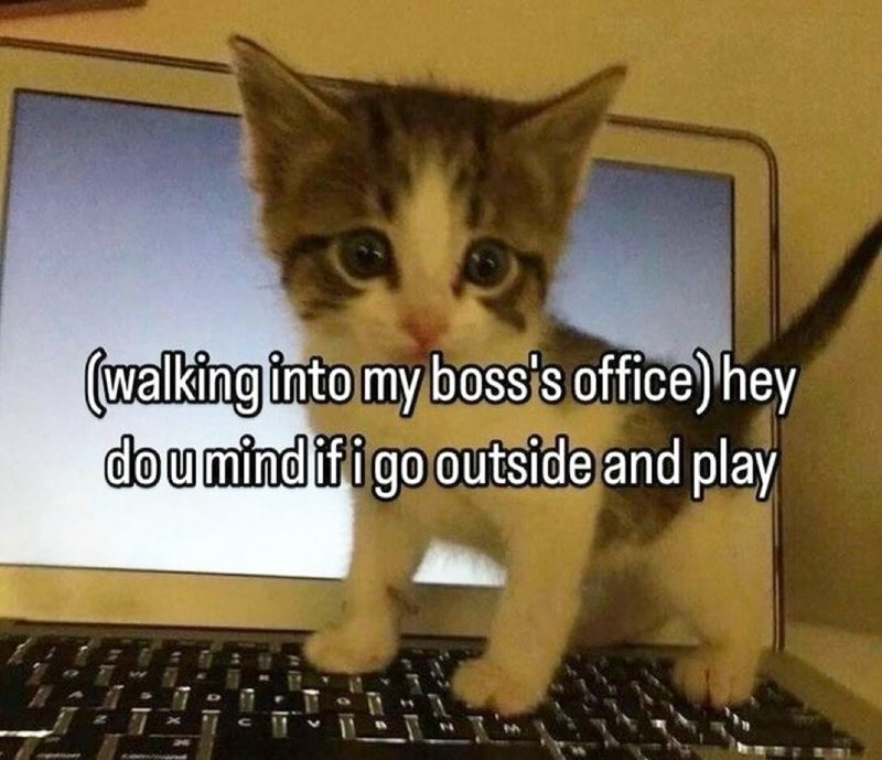 (walking into my boss's office) hey dou mind if i go outside and play C