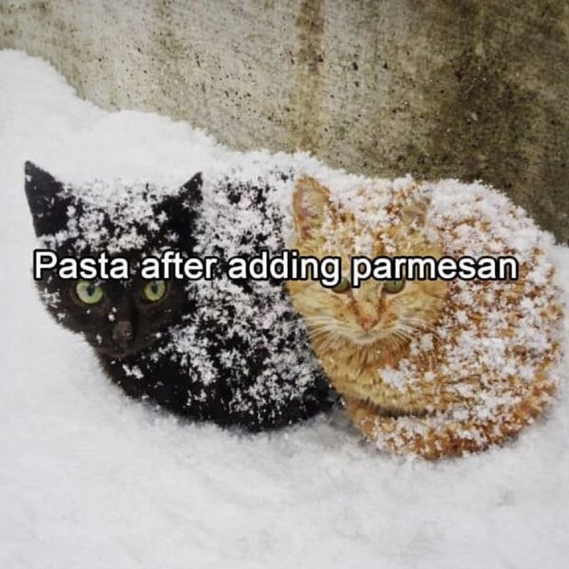 Pasta after adding parmesan