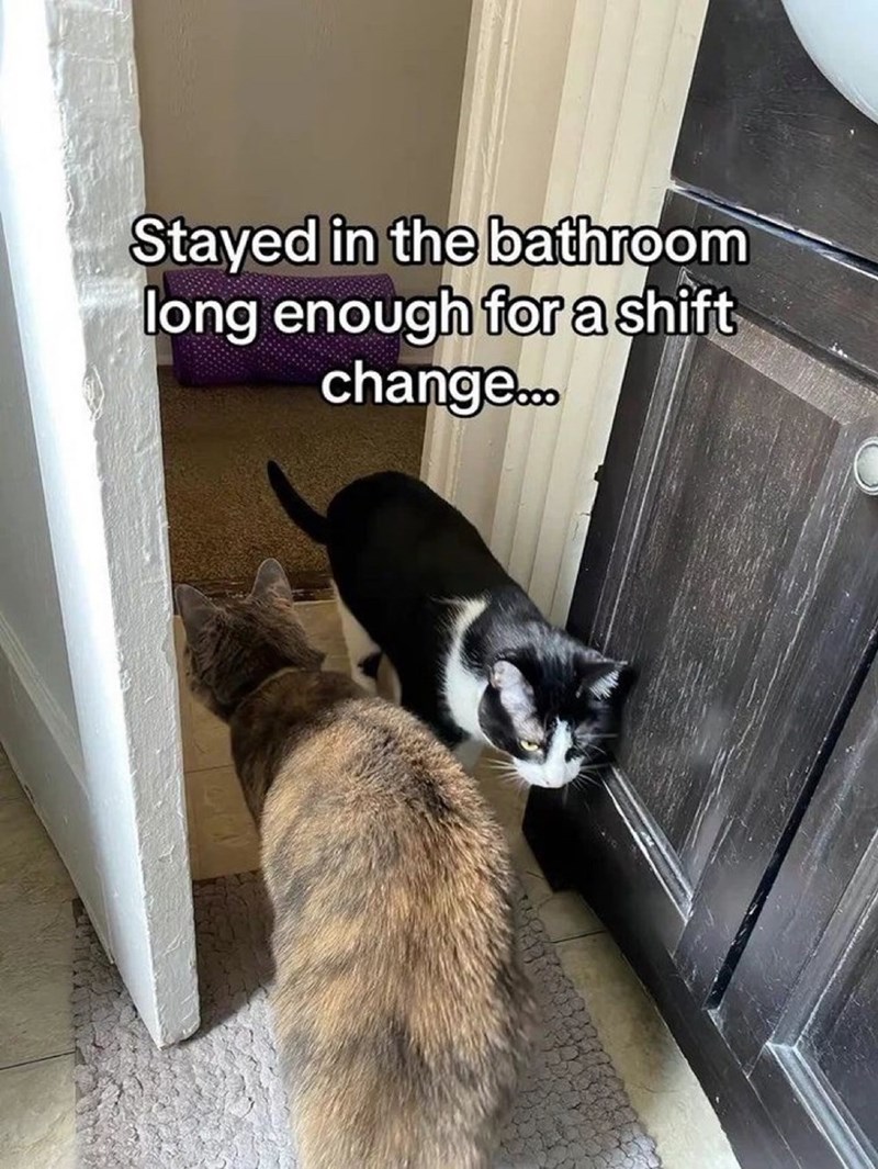 Stayed in the bathroom long enough for a shift change...