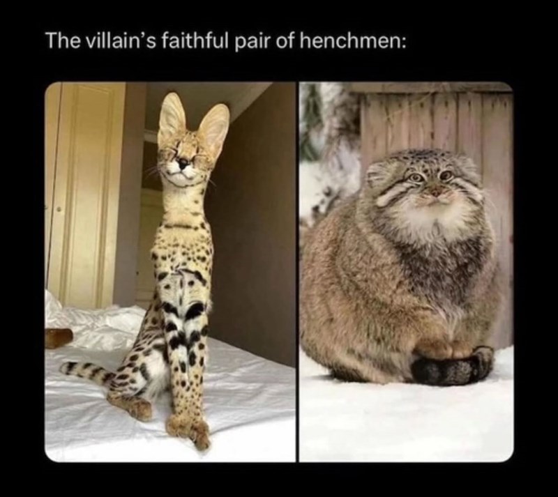 The villain's faithful pair of henchmen: