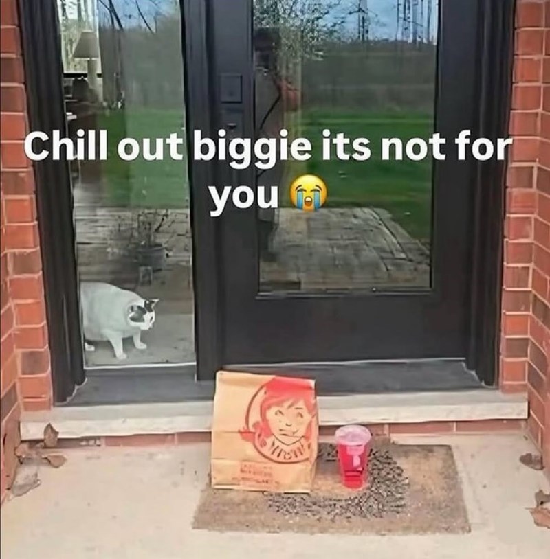 Chill out biggie its not for you
