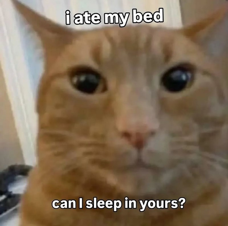 i ate my bed can I sleep in yours?