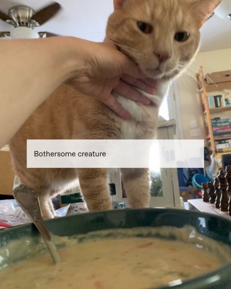 Bothersome creature Π