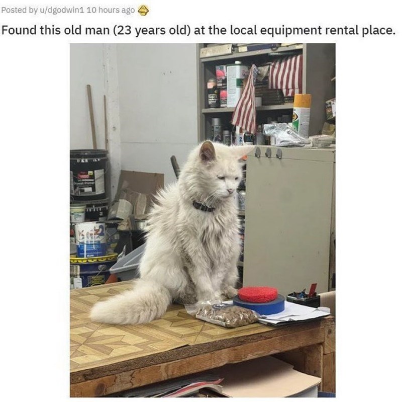 Posted by u/dgodwin1 10 hours ago Found this old man (23 years old) at the local equipment rental place.