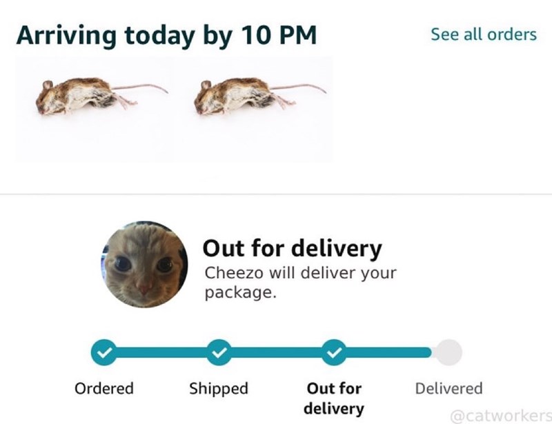 Arriving today by 10 PM See all orders Out for delivery Cheezo will deliver your package. Ordered Shipped Out for delivery Delivered @catworkers