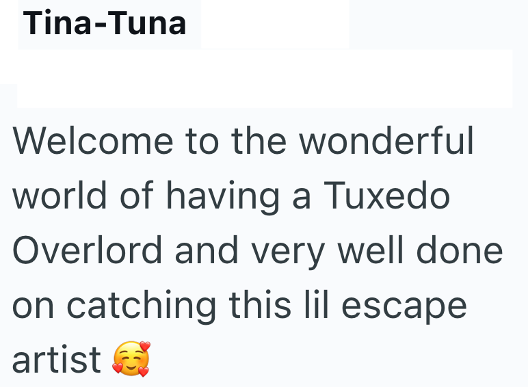Tina-Tuna Welcome to the wonderful world of having a Tuxedo Overlord and very well done on catching this lil escape artist
