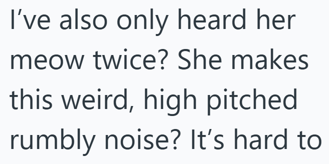 I've also only heard her meow twice? She makes this weird, high pitched rumbly noise? It's hard to