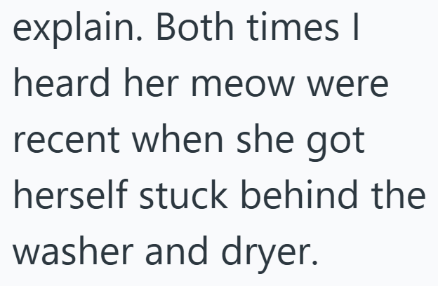 explain. Both times I heard her meow were recent when she got herself stuck behind the washer and dryer.