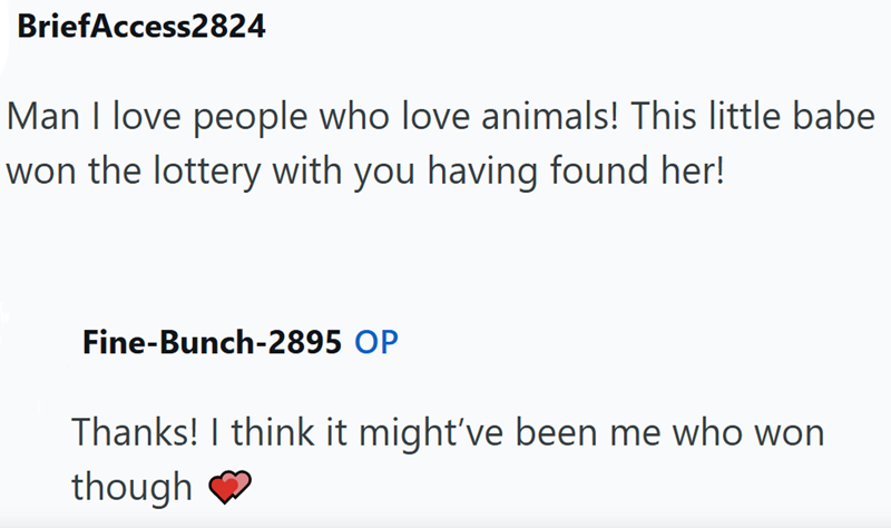 BriefAccess2824 Man I love people who love animals! This little babe won the lottery with you having found her! Fine-Bunch-2895 OP Thanks! I think it might've been me who won though