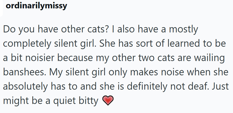 ordinarilymissy Do you have other cats? I also have a mostly completely silent girl. She has sort of learned to be a bit noisier because my other two cats are wailing banshees. My silent girl only makes noise when she absolutely has to and she is definitely not deaf. Just might be a quiet bitty