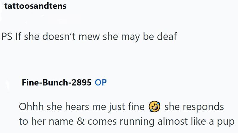 tattoosandtens PS If she doesn't mew she may be deaf Fine-Bunch-2895 OP Ohhh she hears me just fine she responds to her name & comes running almost like a pup