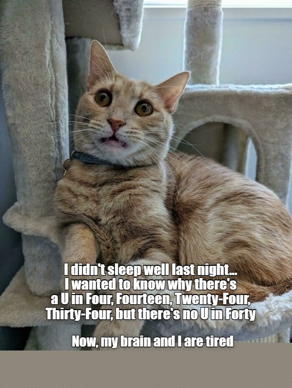 I didn't sleep well last night... I wanted to know why there's a U in Four, Fourteen, Twenty-Four, Thirty-Four, but there's no U in Forty Now, my brain and I are tired