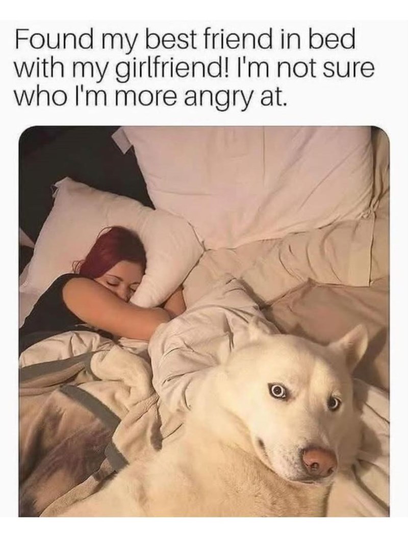 Found my best friend in bed with my girlfriend! I'm not sure who I'm more angry at.