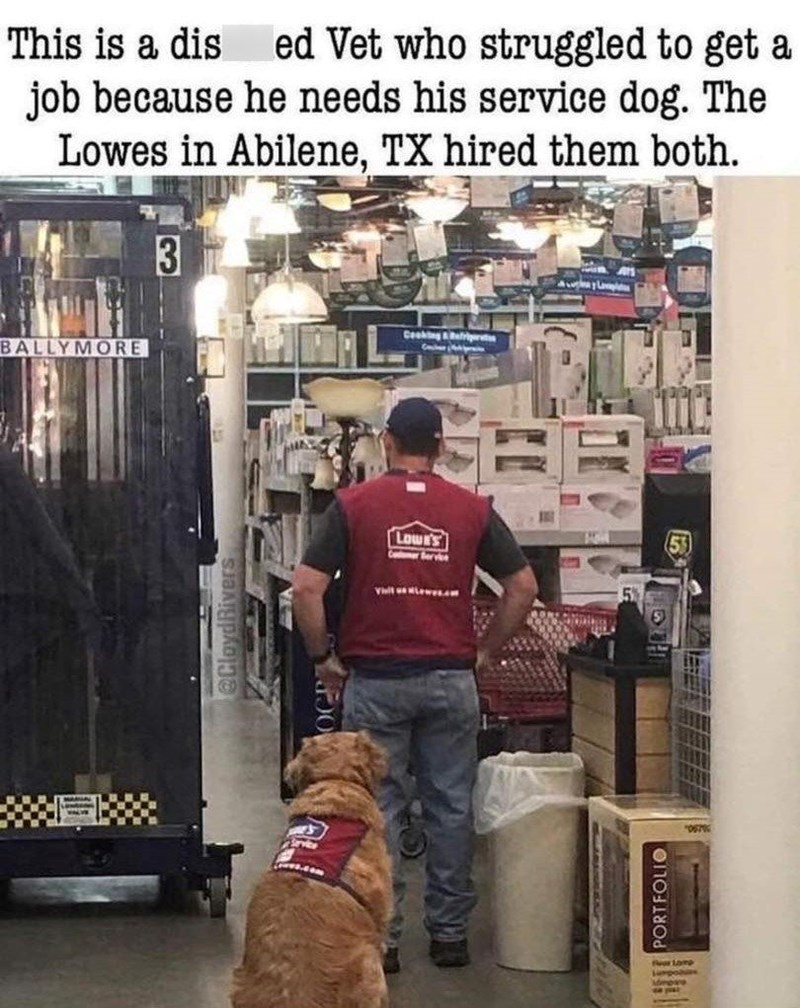 This is a dis ed Vet who struggled to get a job because he needs his service dog. The Lowes in Abilene, TX hired them both. 3 BALLYMORE @ClaydRivers Service Lowe's Comer Service Cooking & Refrigerat PORTFOLIO war Lamp jumpolin more 067% Live