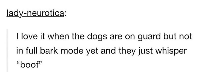 lady-neurotica: I love it when the dogs are on guard but not in full bark mode yet and they just whisper "boof"