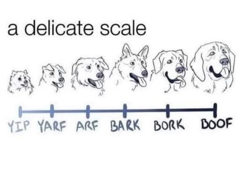 a delicate scale YIP YARF ARF BARK BORK BOOF