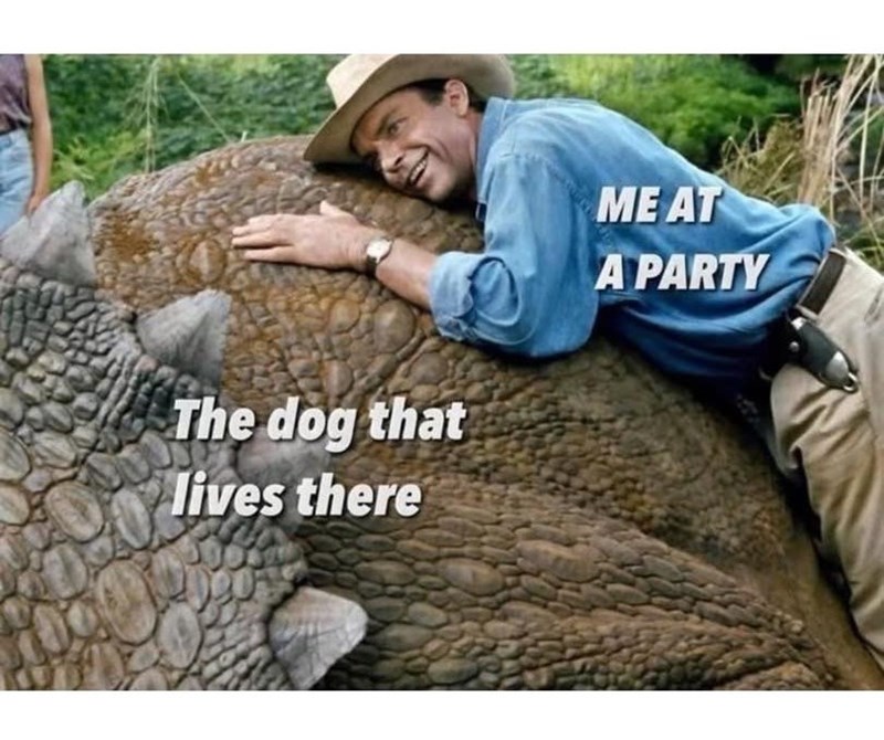The dog that lives there ME AT A PARTY
