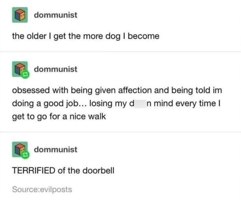dommunist the older I get the more dog I become dommunist obsessed with being given affection and being told im doing a good job... losing my d n mind every time I get to go for a nice walk dommunist TERRIFIED of the doorbell Source:evilposts