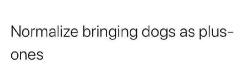 Normalize bringing dogs as plus- ones