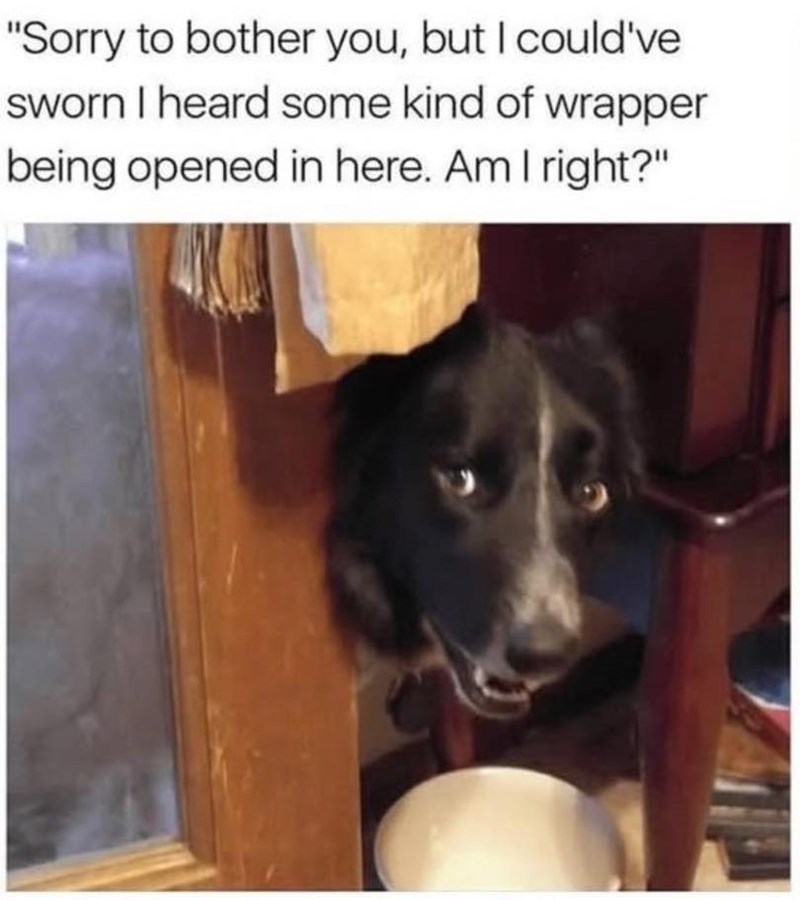 "Sorry to bother you, but I could've sworn I heard some kind of wrapper being opened in here. Am I right?"
