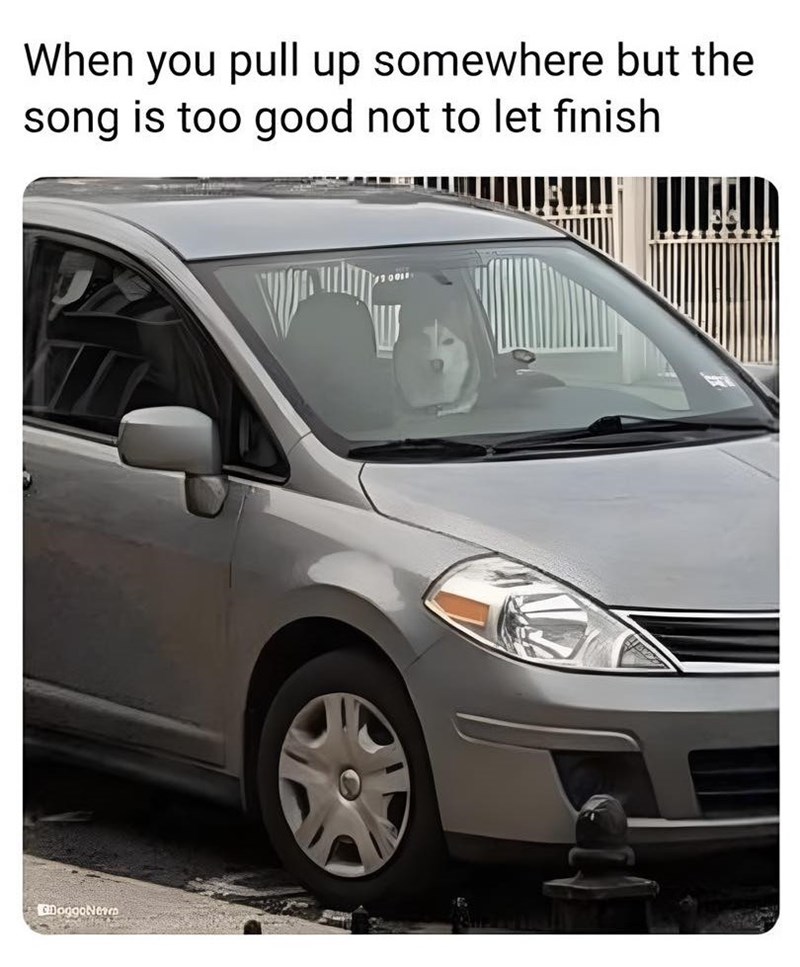 When you pull up somewhere but the song is too good not to let finish DoggoNevro