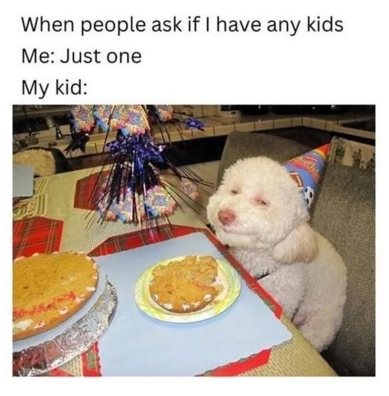When people ask if I have any kids Me: Just one My kid: