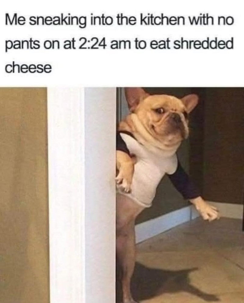 Me sneaking into the kitchen with no pants on at 2:24 am to eat shredded cheese