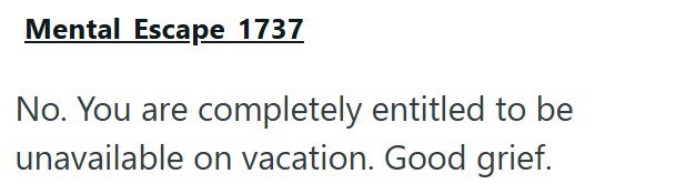 Mental Escape 1737 No. You are completely entitled to be unavailable on vacation. Good grief.