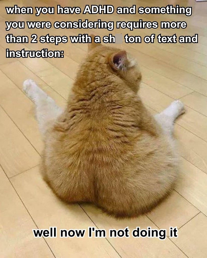 when you have ADHD and something you were considering requires more than 2 steps with a sh ton of text and instruction: well now I'm not doing it