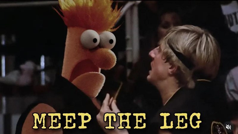 MEEP THE LEG