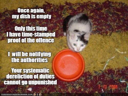 Once again, my dish is empty Only this time I have time-stamped proof of the offence I will be notifying the authorities Your systematic dereliction of duties cannot go unpunished ICANHASCHEEZBURGER.COM : 1-12 2006
