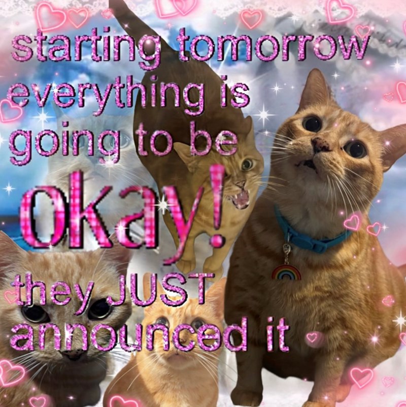 starting tomorrow everything is going to be Okay! they JUST announced it