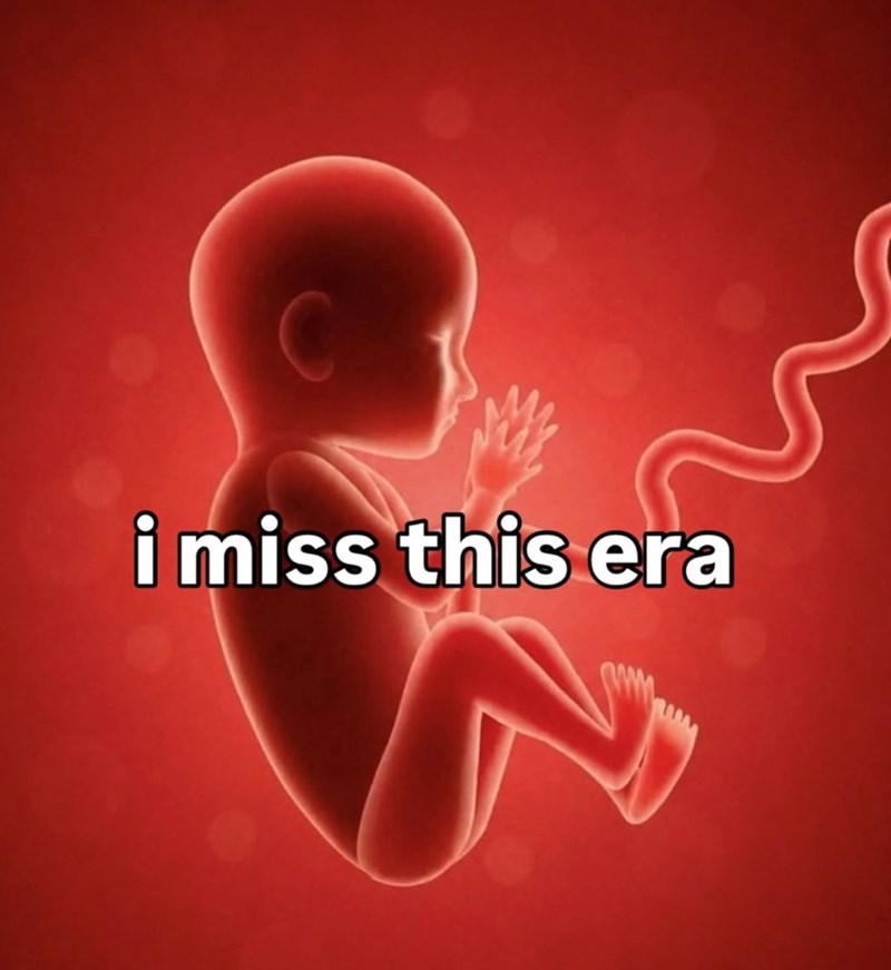 C i miss this era