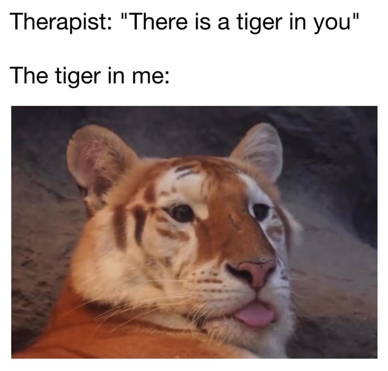 Therapist: "There is a tiger in you" The tiger in me: