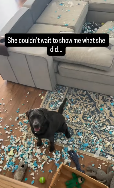 She couldn't wait to show me what she did...