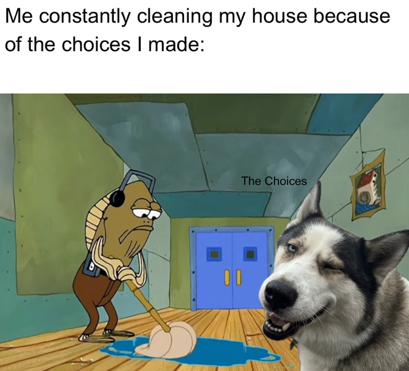 Me constantly cleaning my house because of the choices I made: 00 The Choices