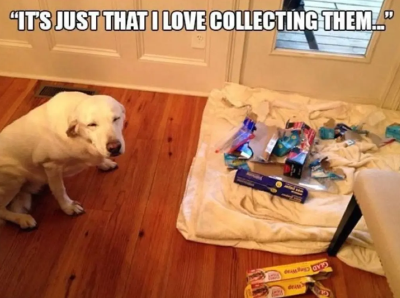 "IT'S JUST THAT I LOVE COLLECTING THEM... " deim