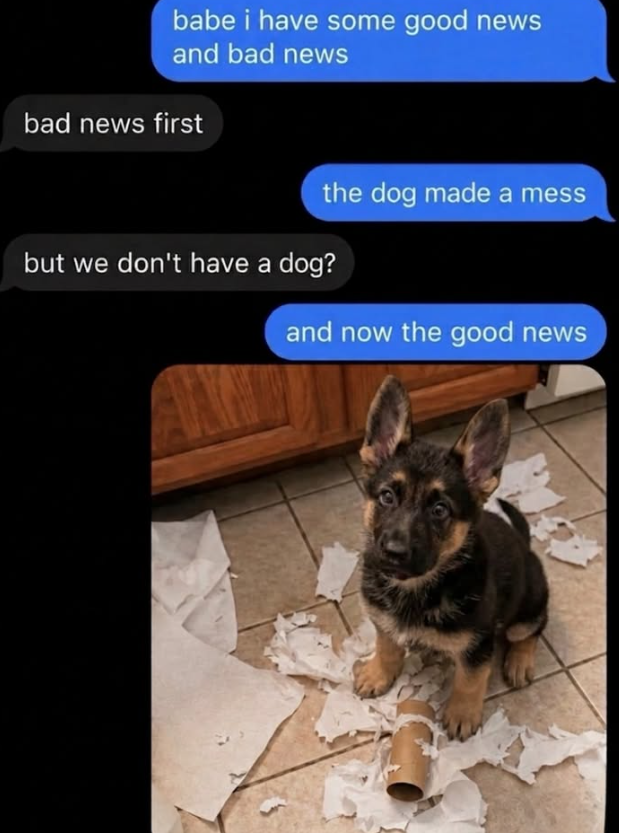 babe i have some good news and bad news bad news first the dog made a mess but we don't have a dog? and now the good news