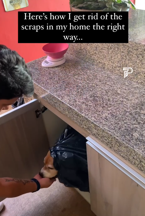 Here's how I get rid of the scraps in my home the right way... P